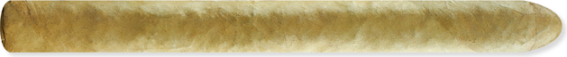 Curlyhead (6.5" x 43) - Claro