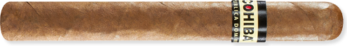 Corona (5.1" x 42)