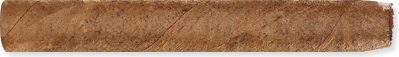 Half Corona (4.1" x 37) - Connecticut (Blue Box)