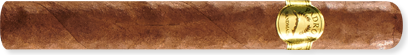 Cortico (4.2" x 35) - Natural