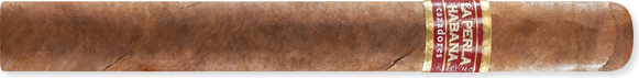 Toro (6.0" x 50)
