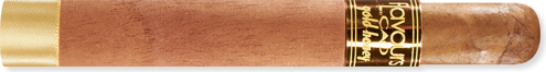 Corona (5.1" x 42) - Honey