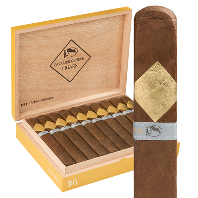 Cavalier Geneve BII-Viso Jalapa