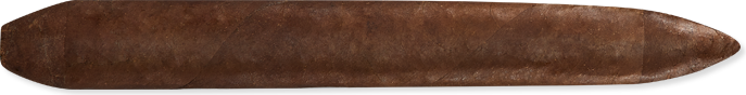 Salomon (7.1" x 58) - Maduro