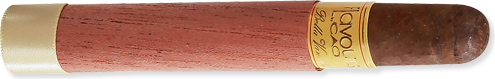 Corona (5.1" x 42) - Vanilla