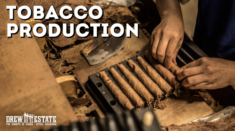 From Tobacco to Cigar: The Odyssey of Creating a Premium Cigar content main image